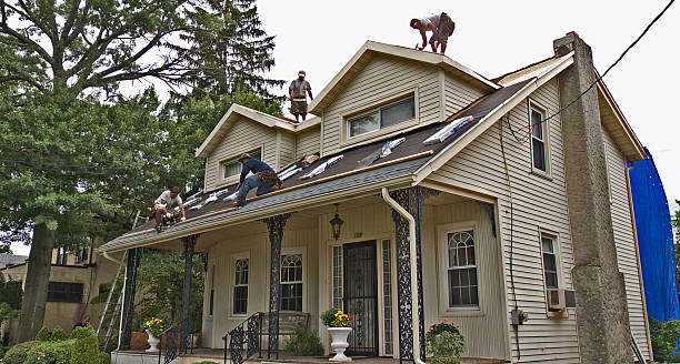 Best Shingle Roofing Installation  in Colwyn, PA