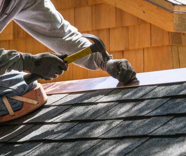 Roof Gutter Cleaning in Colwyn, PA
